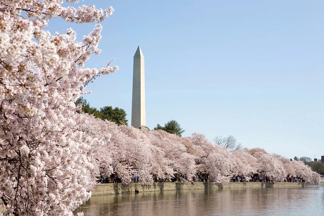 Half-Day Washington DC Bus Tour & Capitol Ground Access - Common Questions