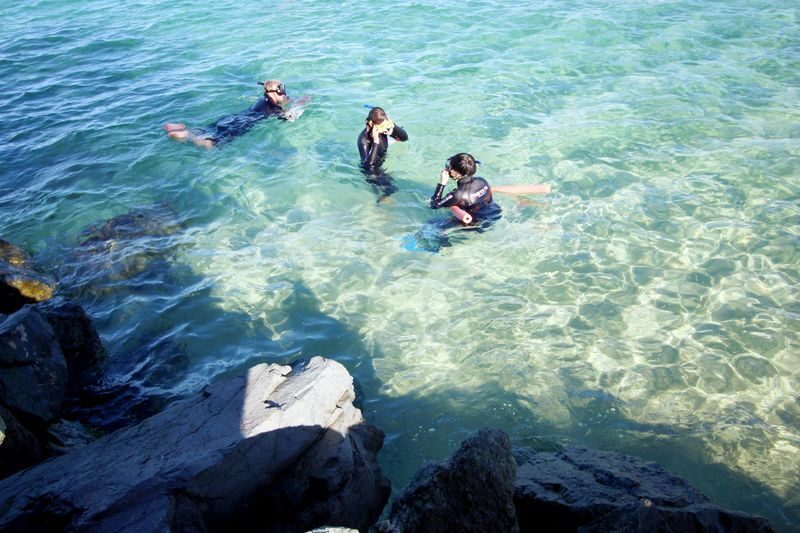 Half Day Wavebreak Island Snorkeling - How much help beginners can expect