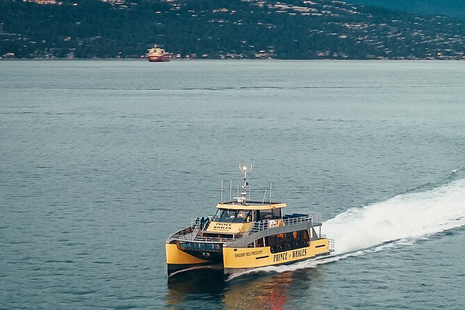 Half-Day Whale Watching Adventure From Victoria - Wildlife Spotting Opportunities