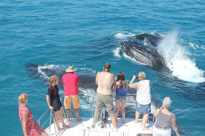 Half-Day Whale Watching Sunset Cruise From Broome - Traveler Photos and Reviews