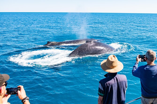 Half-Day Whale Watching Sunset Cruise From Broome - Miscellaneous Information