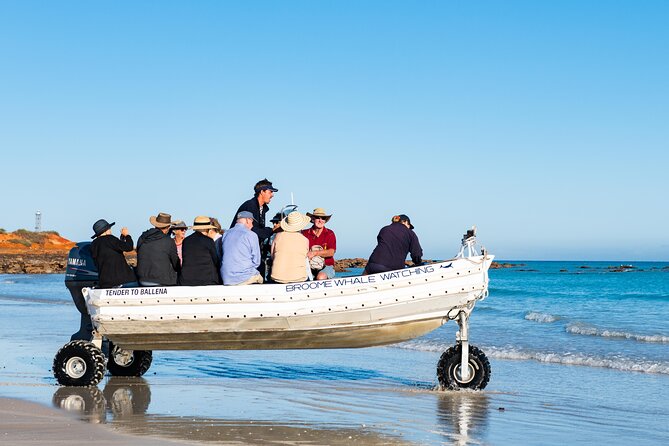 Half-Day Whale Watching Sunset Cruise From Broome - The Sum Up