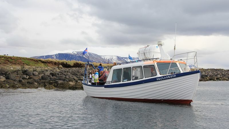 Half-Day Whales and Puffins Cruise Combo Tour in Reykjavik - Whale watching aboard Andrea
