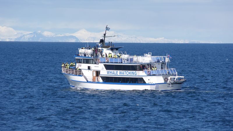 Half-Day Whales and Puffins Cruise Combo Tour in Reykjavik - Staying warm on an Icelandic boat