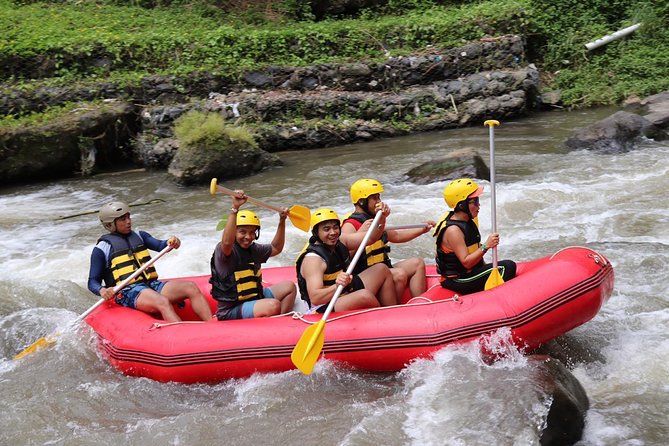 Half-Day Whitewater Rafting With Ubud Hotel Transfers - Inclusions and Requirements