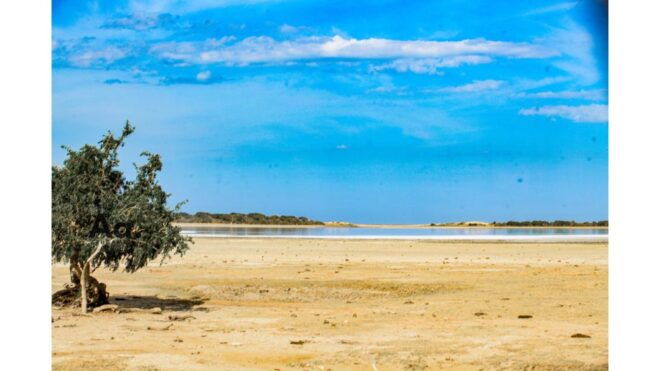 Half-Day Wild Safari in Yala National Park - Memorable Adventure