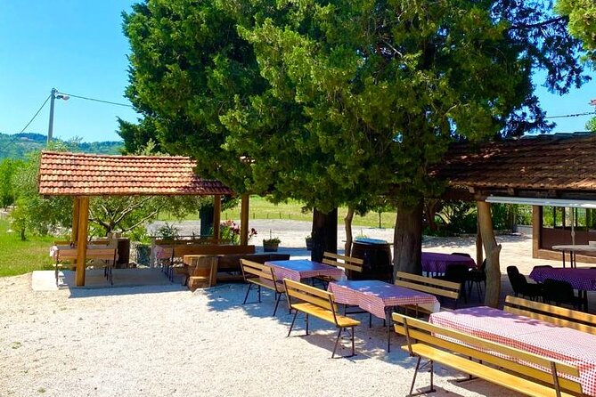Half-Day Wine and Food Tasting From Dubrovnik - Tour Overview