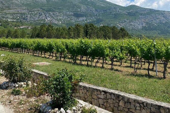 Half-Day Wine and Food Tasting From Dubrovnik - The Sum Up