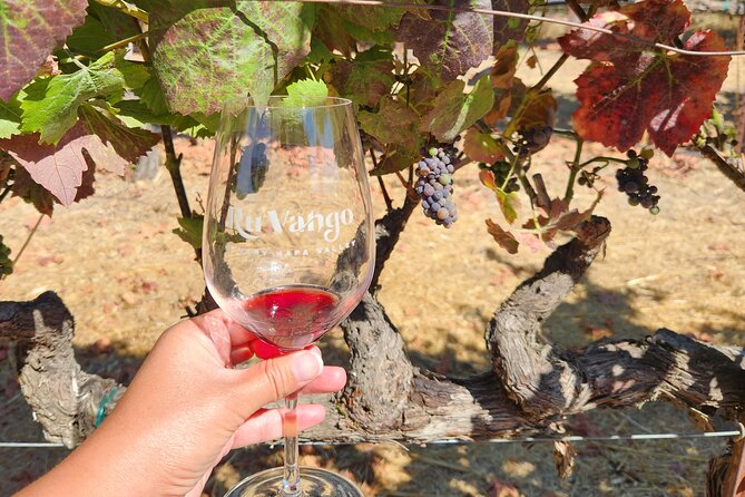 Half Day Wine Country Experience, Including All Tasting Fees - Activity Ends at the Meeting Point