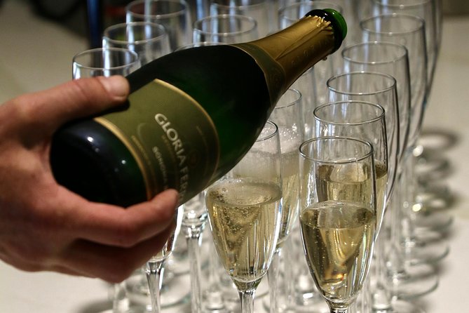 Half Day Wine Country Experience, Including All Tasting Fees - The Sum Up