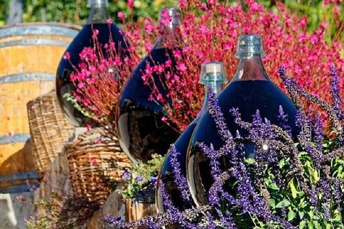 Half-Day Wine Tasting and Saint Paul De Vence Tour From Nice - The Sum Up