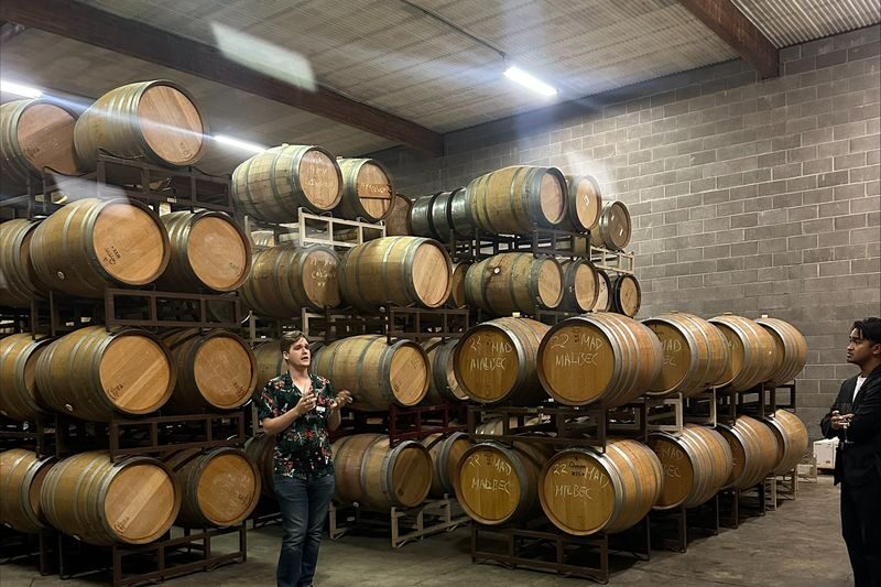Half-Day Wine Tasting Tour from San Francisco - The tour at a glance