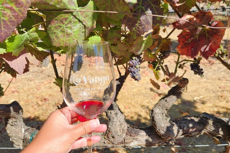 Half-Day Wine Tasting Tour from San Francisco - What the guide adds to the ride