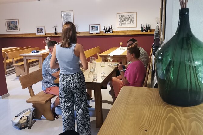 Half-Day Wine Tasting With Snacks and Ston Place Visit - Accessibility Information