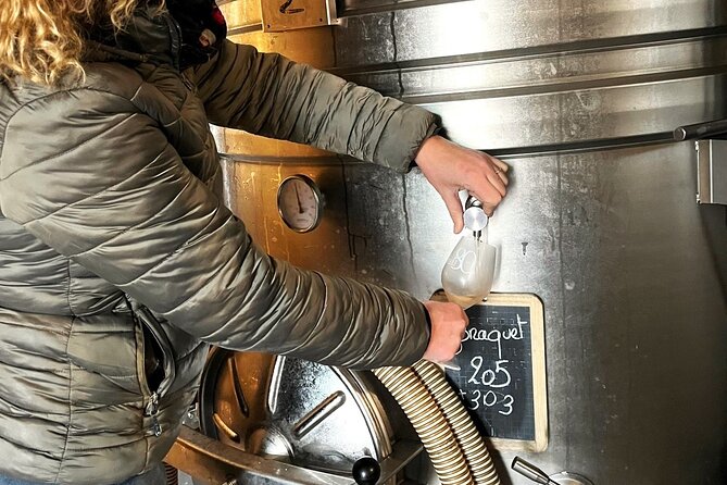 Half Day Wine Tour in Côteaux Aix From Aix En Provence - Tasting Experience