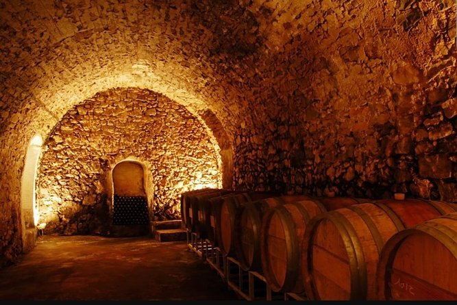Half-Day: Wine-Tour of the Vineyards of Cassis - Wine Tasting Experience