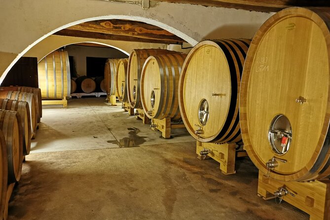 Half-Day: Wine-Tour of the Vineyards of Cassis - Insider Tips and Recommendations