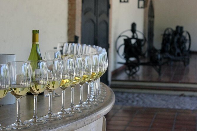 Half Day Wine Tour to Concha Y Toro From Santiago Seasonal Offer - Inclusions in the Package