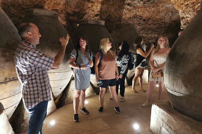 Half Day Wine Tour to Madrid DO Wineries - Why Choose a Half Day Wine Tour?
