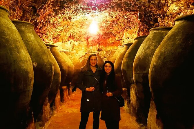 Half Day Wine Tour to Madrid DO Wineries - Exploring Madrid DO Wineries