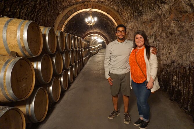 Half Day Wine Tour to Madrid DO Wineries - Meet the Winemakers and Owners