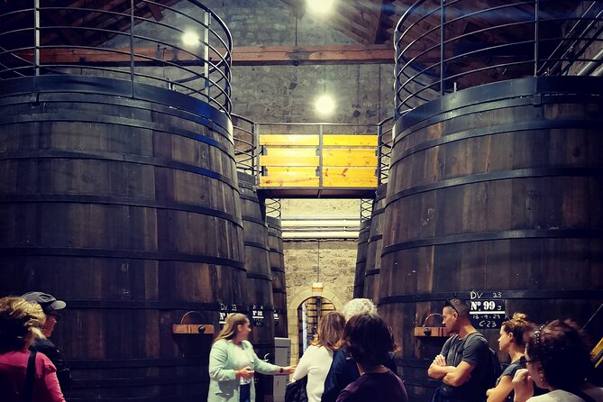 Half Day Wine Tour to Madrid DO Wineries - Insider Tips for the Best Wine Tour Experience