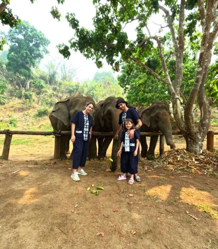 Half-day with CHIANGMAI ELEPHANT CARE program (12pm-6pm.) - Good To Know