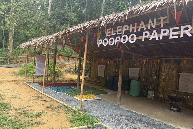 Half day with Elephants at Patong Elephant Hug No ride No trick - What We Love About Patong Elephant Hug