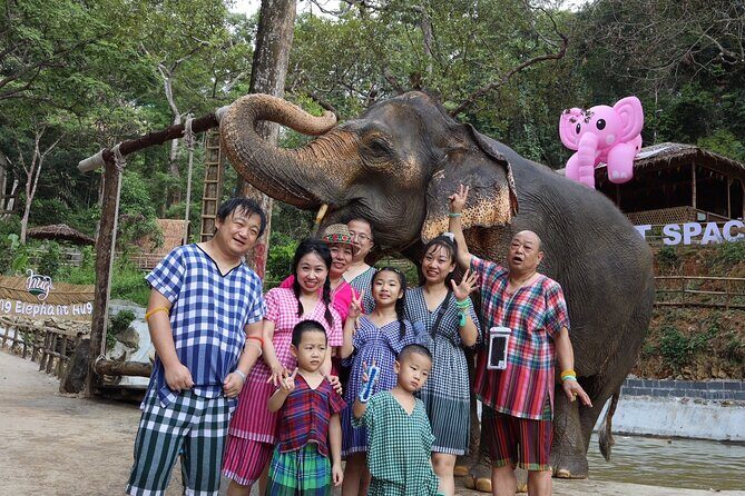 Half day with Elephants at Patong Elephant Hug No ride No trick - Practical Details You Need to Know