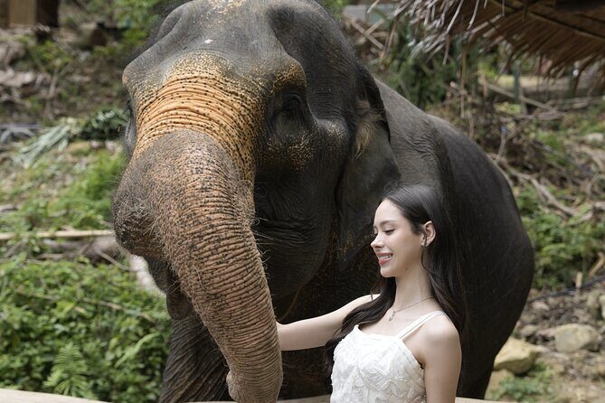Half day with Elephants at Patong Elephant Hug No ride No trick - Transport and Group Size