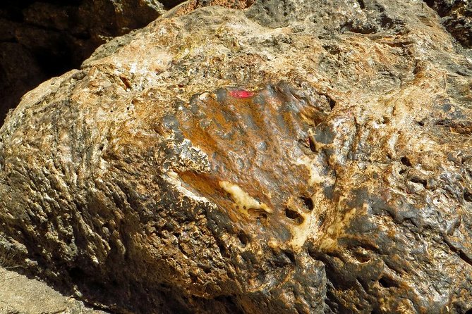 Half Day Yanglesho (Pharping) Sightseeing With a Short Hike From Kathmandu - Transportation and Logistics