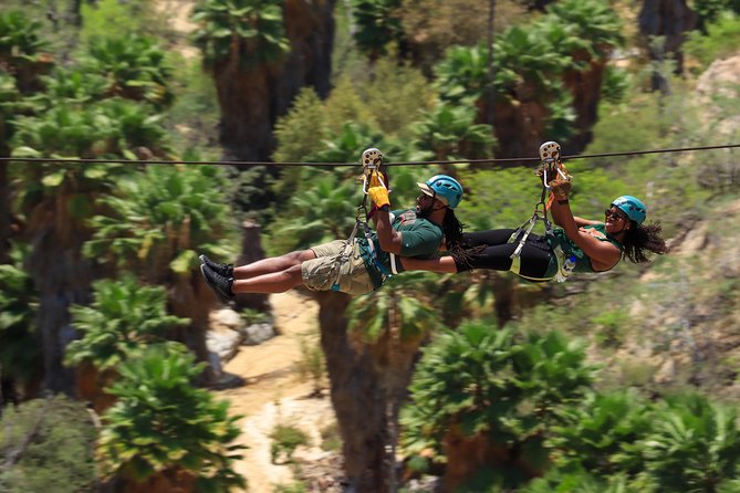 Half-Day Zip Line Adventure in Los Cabos - Ziplining Activity Details