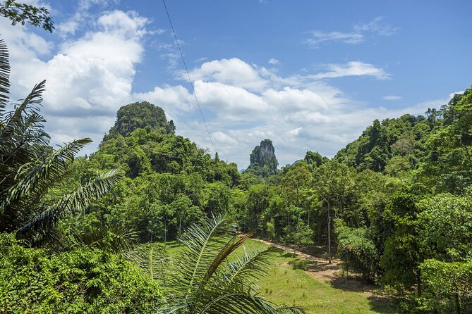 Half Day Zipline and Rainforest Exploration in Krabi - Contact Information and Support
