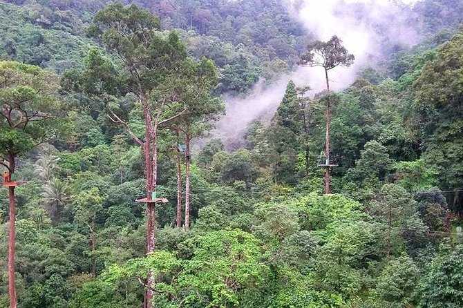 Half-day Zipline Mountain Adventure in Koh Samui - Traveler Experiences and Photos