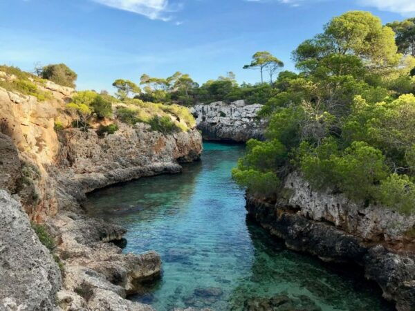 Half Daytrip Palma Bay B - Additional Details and Contact Information