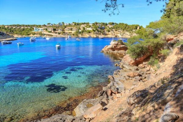 Half Daytrip Palma Bay - Participant Information