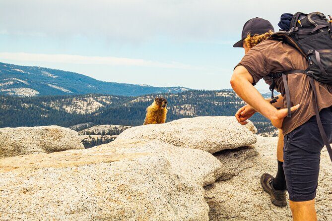 Half Dome Guided Ascent - Logistics, Group Size, and Practical Details