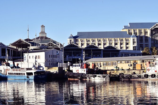 Half Hour Seal and Harbour Cruise From Cape Town - Whistle-Stop Cruise With Views