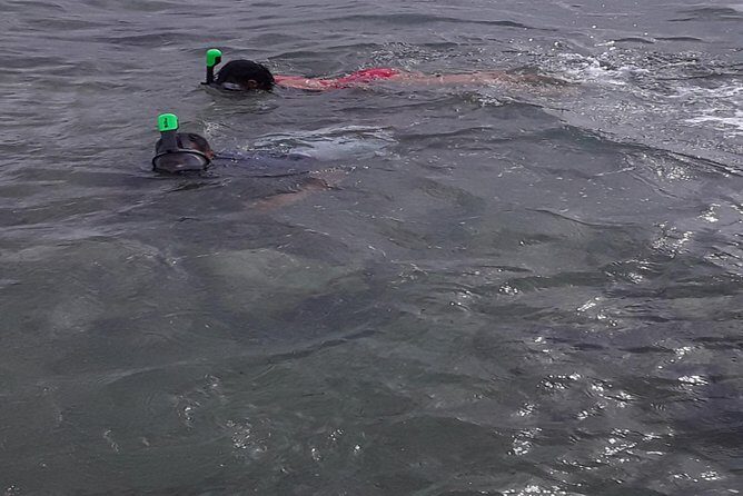 Half Island West side history/ snorkel tour - FAQ