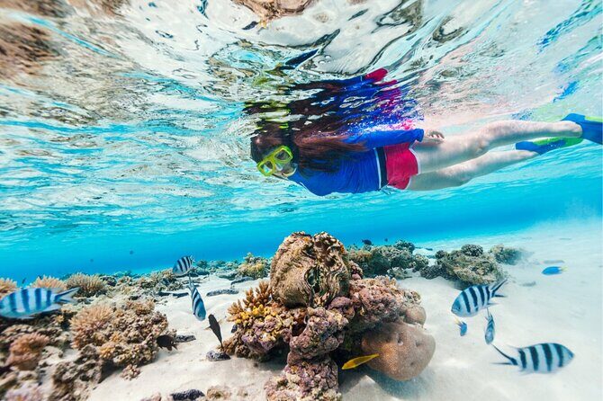 Half Moon Bay Jet Ski Tour & Snorkeling the La Famille Shipwreck - Who Will Love This Tour?