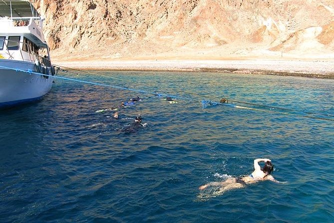 Half or Full Day Boat Trip in Dahab - The Sum Up