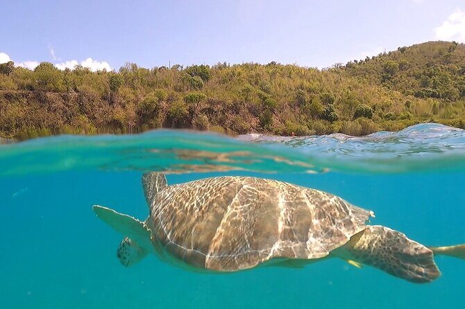 Half or Full-Day Private Boat Charter from St. John or St. Thomas - Review of the Half or Full-Day Private Boat Charter from St. John or St. Thomas