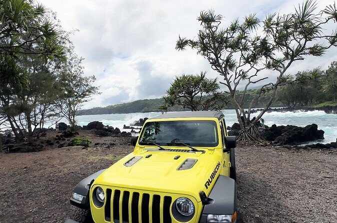 Half way to Hana Maui Open Air Jeep Private Tour - Who Should Book This Tour?  