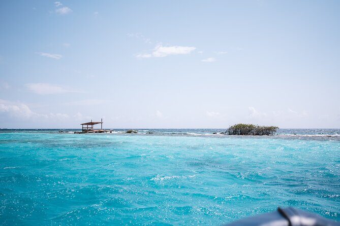 HalfDay Private Snorkel & Mangrove Experience Local Host - What to Expect from the Tour