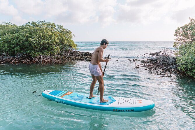 HalfDay Private Snorkel & Mangrove Experience Local Host - Frequently Asked Questions