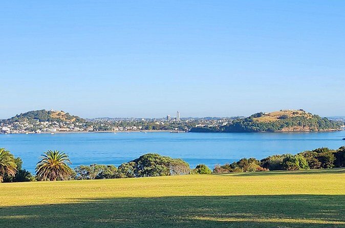 HalfDay Private Volcano Tour in Auckland Explore the City of Fire - What Makes This Tour Stand Out