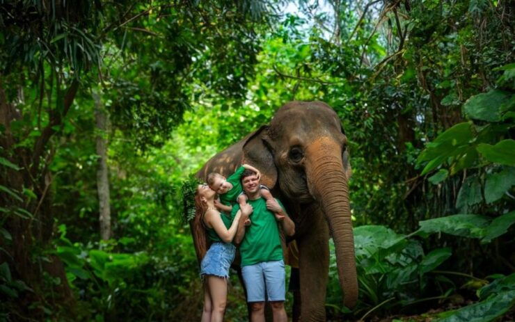 Halfday Program With Elephant on the Beach (3.30hours) - Experience Highlights