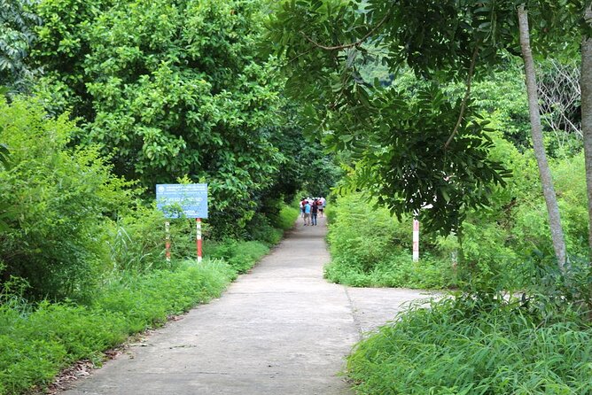 Halfday Trekking Cat Ba Butterfly Valley (More Intense) - Common Questions