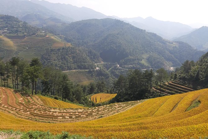 Halfday Trekking Mu Cang Chai - Contact and Booking Details
