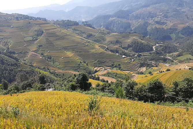 Halfday Trekking Mu Cang Chai - Common Questions